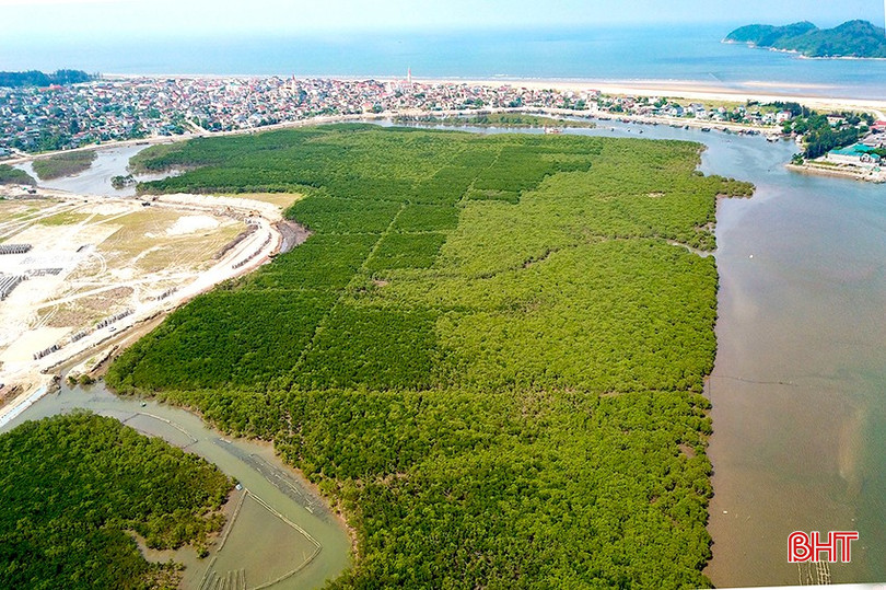 TP Hà Tĩnh có 99,3 ha rừng và đất lâm nghiệp, hình thành hệ sinh thái tự nhiên phong phú. 127d1155652t14025l0.jpg