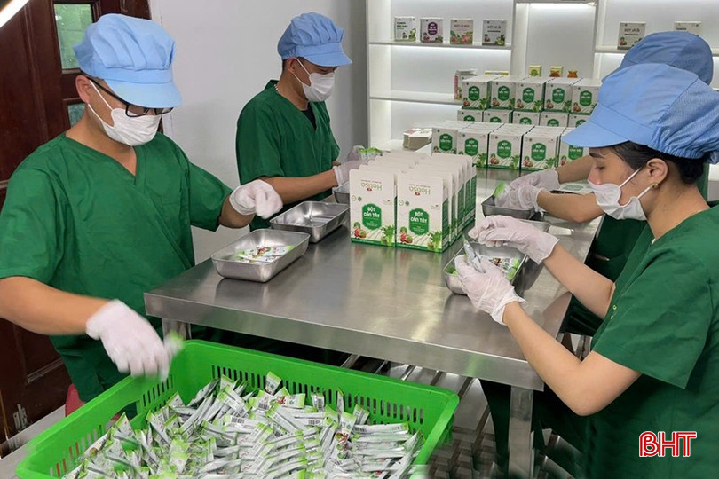 Hiện nay, mỗi tháng, Công ty TNHH Nông nghiệp sạch Hatisa xuất ra thị trường khoảng 1.000 đơn hàng, tập trung mạnh vào kênh online, các cửa hàng thực phẩm sạch… bqbht_br_z6108915347351-9f7c35d52d8e929487ecf87ba41ed35b.jpg