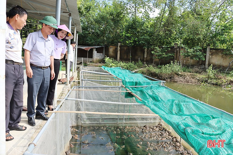 Phó Bí thư Huyện ủy Đặng Giang Trung kiểm tra mô hình chăn nuôi ếch thương phẩm của ông Nguyễn Thanh Bình (người đứng ngoài cùng bên trái). z5919220015497-765db28d0cefca45061ab192860d0065-9193.jpg