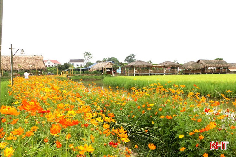 Mô hình dịch vụ sinh thái tổng hợp Thôn Trang - thôn Liên Nhật (xã Thạch Hạ) là mô hình kinh tế đô thị đa mục tiêu, vừa khai thác tối đa lợi thế để phát triển kinh tế, vừa bảo vệ môi trường, cảnh quan. img-9303-1592-3592.jpg