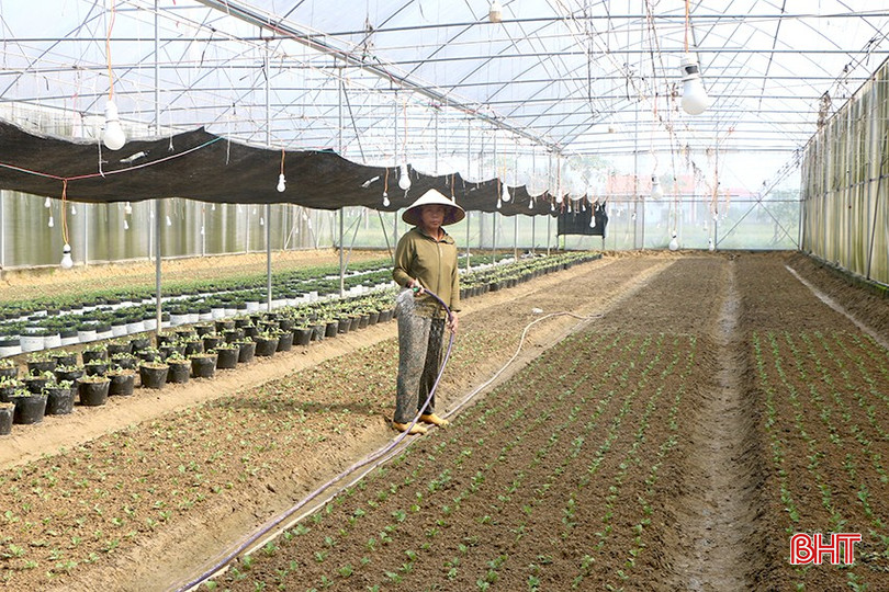 Sản xuất trong nhà lưới giúp các chủ cơ sở chủ động hoàn toàn về kế hoạch sản xuất, quản lý tốt sâu bệnh để cho ra sản phẩm tốt nhất, đáp ứng nhu cầu của người tiêu dùng. bqbht_br_img-0960.jpg