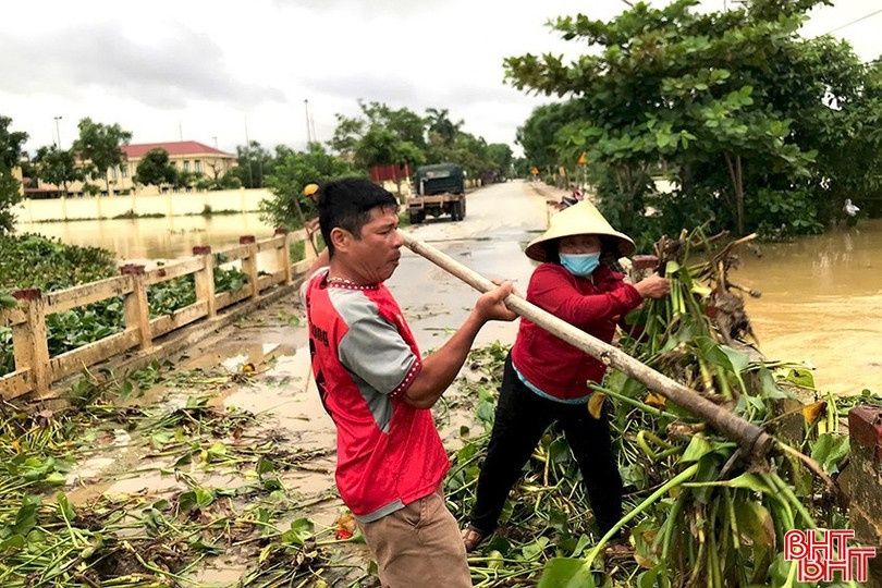 Người dân xã Thạch Đài (TP Hà Tĩnh) trục vớt bèo tây, khơi thông dòng chảy sau lũ. bqbht_br_z6637619775018-782fe681ec37ee4c15f635950a42d73d.jpg