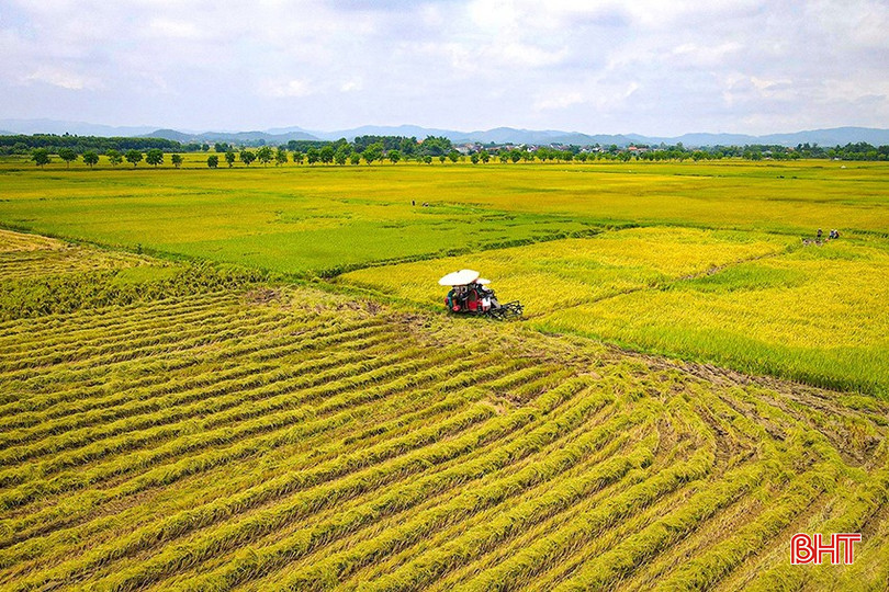 Hà Tĩnh là tỉnh nông nghiệp, vì thế nông nghiệp, nông thôn, nông dân luôn là đề tài bất tận trong lĩnh vực báo chí. bqbht_br_adji-0022-3343.jpg