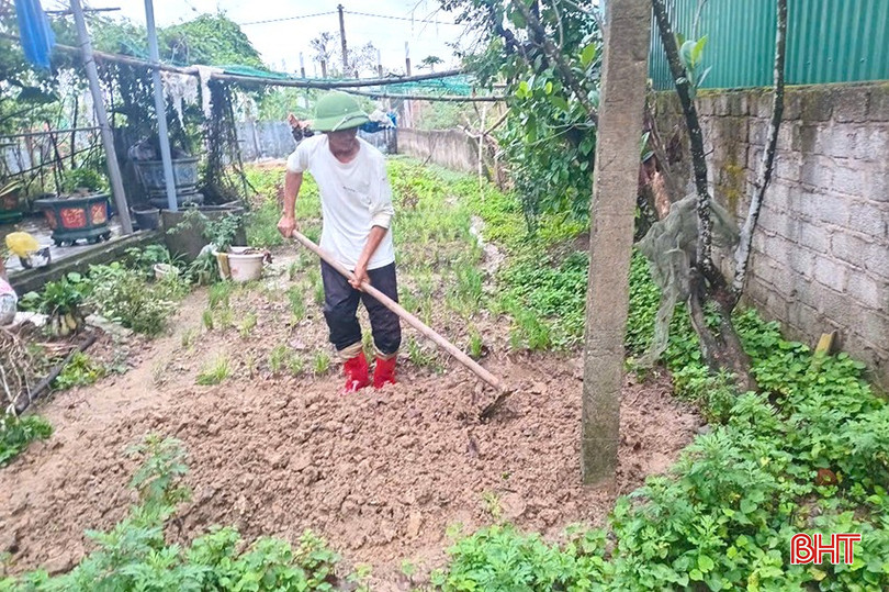 Trước mỗi vụ sản xuất, ông Lê Văn Hợp đều dùng phân bón hữu cơ của ông Bình làm phân lót để làm đất tơi xốp trước khi xuống giống. bqbht_br_ql6.jpg