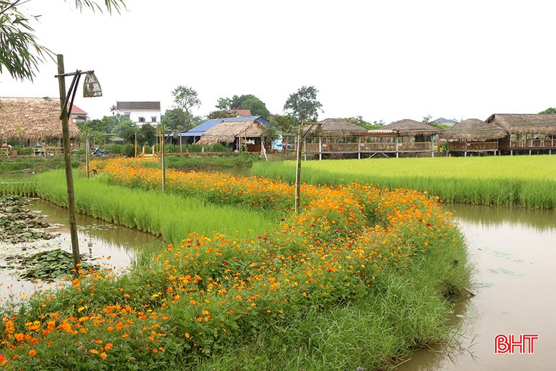 Thôn Trang Liên Nhật (phường Thạch Hạ) - mô hình sản xuất "3 trong 1" gắn với du lịch sinh thái đang thu hút rất nhiều du khách đến trải nghiệm và thưởng thức ẩm thực đồng quê. bqbht_br_img-9296.jpg