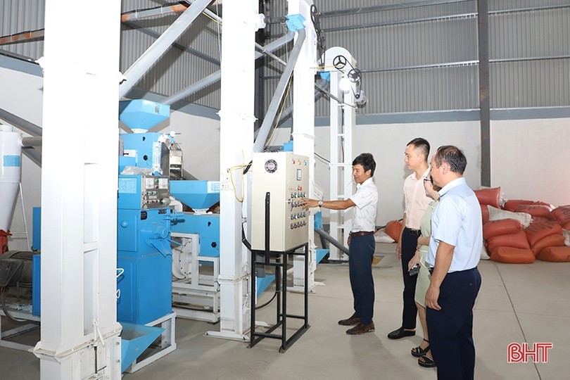 Sprijinul pentru promovarea industrială este una dintre forțele motrice ale An Phat Science and Technology Company Limited (comuna Viet Tien) pentru extinderea investițiilor și dezvoltarea producției. image.jpg