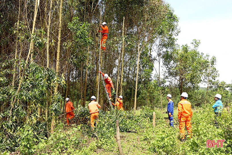 Đội quản lý điện lực khu vực Hương Khê đã cắt tỉa, phát quang cây cối tại 984 khoảng cột đường dây trung áp. bqbht_br_4.jpg