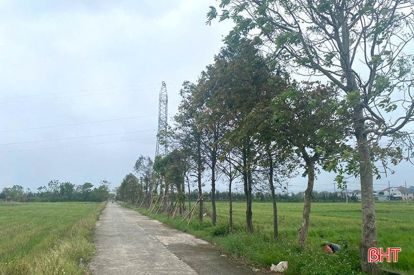 Lối vào nghĩa trang Cồn Bóng được ngăn cách bởi hàng cây xanh. bqbht_br_33333.jpg