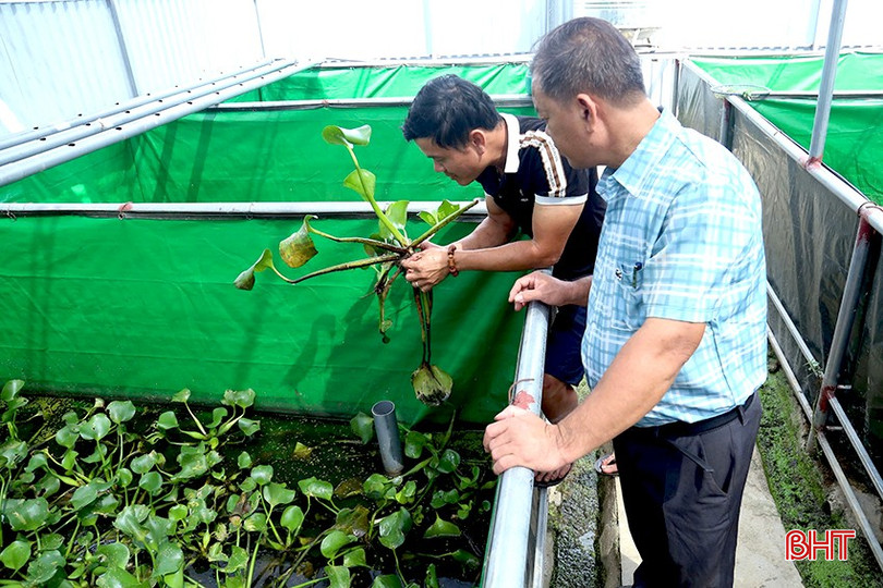 Mô hình nuôi cua đồng sinh sản tại hộ anh Ngô Hà Phương ở thôn Đông Nam, xã Thạch Bình. bqbht_br_12.jpg