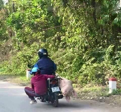 1 001 kieu van chuyen ba dao nhat viet nam