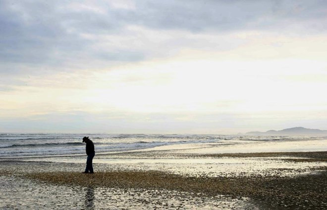 ca voi ca moi chet thanh dong tran ngap bo bien chile