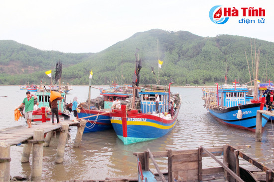 ngu dan ky anh vung tin re song vuon khoi