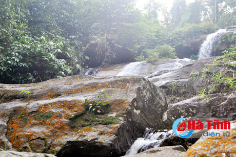 du lich sinh thai mien rung hap dan du khach thich phuot