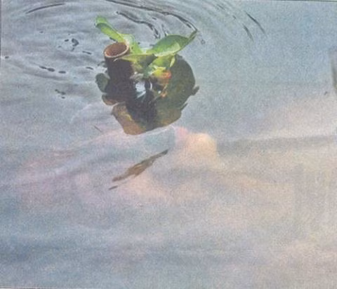 dac cong nuoc viet nam manh ngang seal