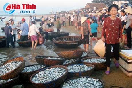 go ca cam nhuong tau vao tap nap hai san tuoi ngon