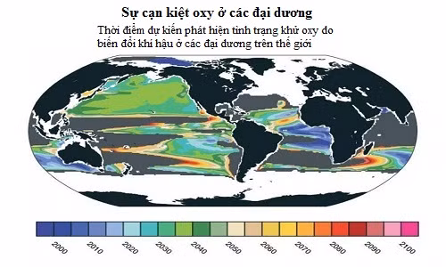 vung chet khong lo co the xuat hien tren dai duong nam 2030
