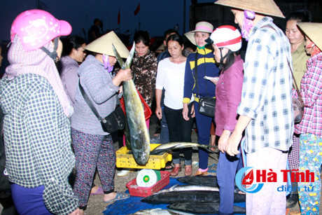 ngu dan ky anh vung tin re song vuon khoi