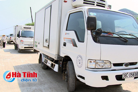 ngu dan ky anh vung tin re song vuon khoi