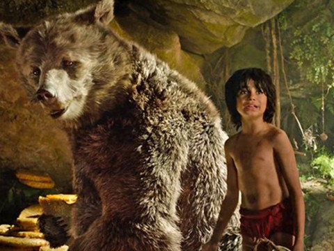 neel sethi va qua trinh tro thanh cau be rung xanh