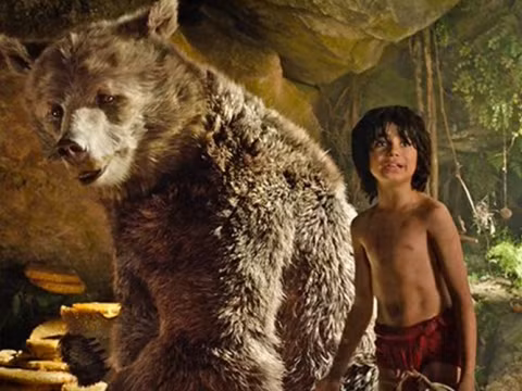 neel sethi va qua trinh tro thanh cau be rung xanh