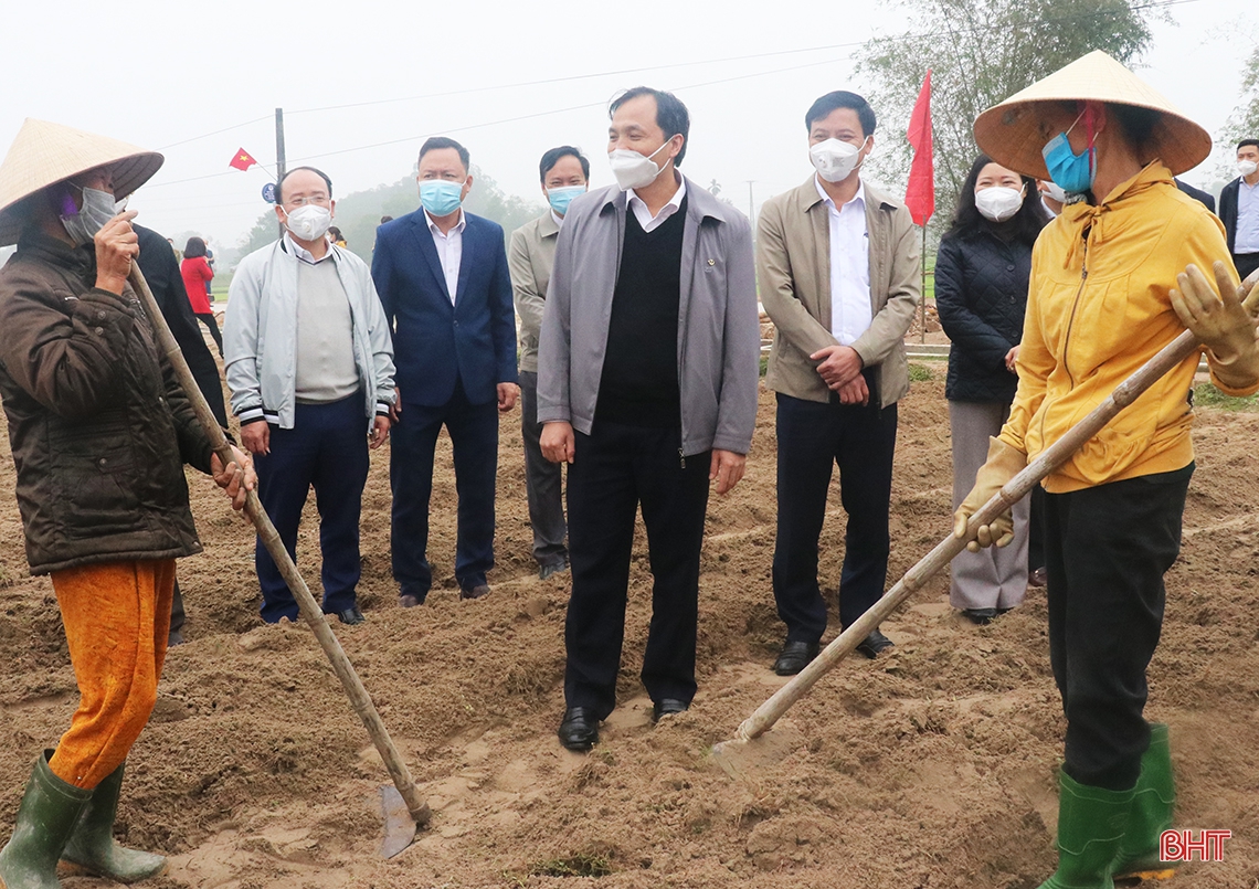 Bí thư Tỉnh ủy Hà Tĩnh phát động trồng cây đầu xuân Nhâm Dần