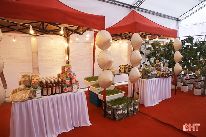 Mát mắt với sản phẩm nông nghiệp tiêu biểu mừng ngày hội lớn của Thạch Hà ảnh 13 Mát mắt với sản phẩm nông nghiệp tiêu biểu mừng ngày hội lớn của Thạch Hà