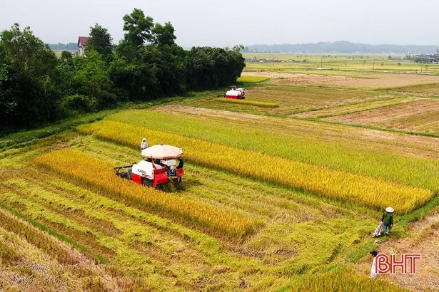 “Dẻo thơm một hạt đắng cay muôn phần”