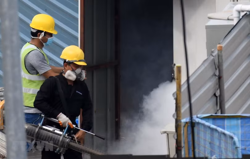 Dịch sốt xuất huyết hoành hành tại Đông Bắc Thái Lan, 2 người tử vong