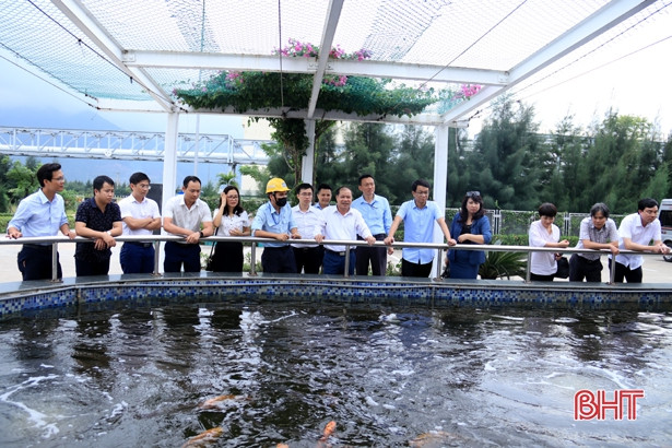 TX Kỳ Anh tập trung rà soát hồ sơ trình hội đồng thẩm định công nhận đô thị loại III