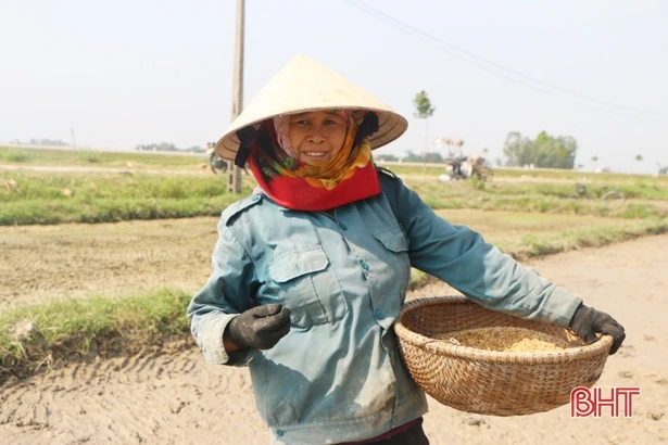 “Dẻo thơm một hạt đắng cay muôn phần”