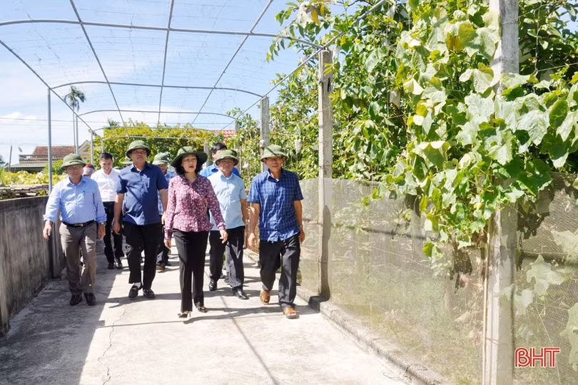 Hà Tĩnh đã có những bước phát triển tích cực, góp phần cải thiện và nâng cao đời sống Nhân dân