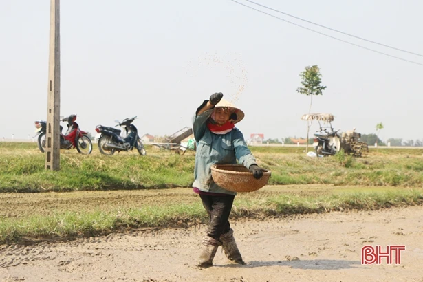 “Dẻo thơm một hạt đắng cay muôn phần”