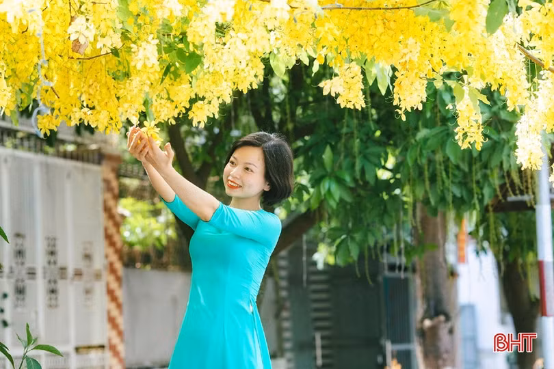 Muồng hoàng yến vàng rực khắp phố phường Hà Tĩnh