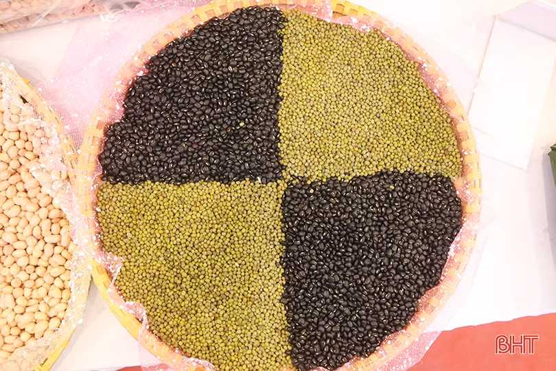 Mát mắt với sản phẩm nông nghiệp tiêu biểu mừng ngày hội lớn của Thạch Hà ảnh 12 Mát mắt với sản phẩm nông nghiệp tiêu biểu mừng ngày hội lớn của Thạch Hà