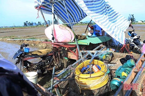 Lão nông Hà Tĩnh “mê” ruộng, thu hoạch 45 tấn lúa/vụ