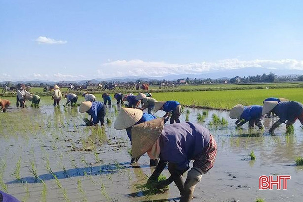 Can Lộc tạo sinh kế, hỗ trợ an sinh giúp người dân an tâm, no ấm