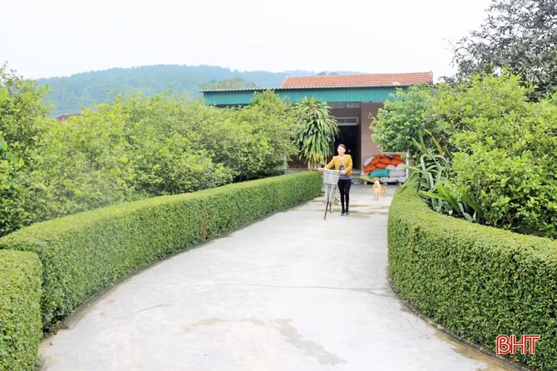 Quyết tâm cao, hành động quyết liệt để xây dựng Can Lộc thành huyện NTM nâng cao