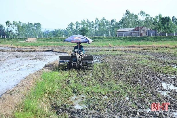 Lão nông Hà Tĩnh “mê” ruộng, thu hoạch 45 tấn lúa/vụ