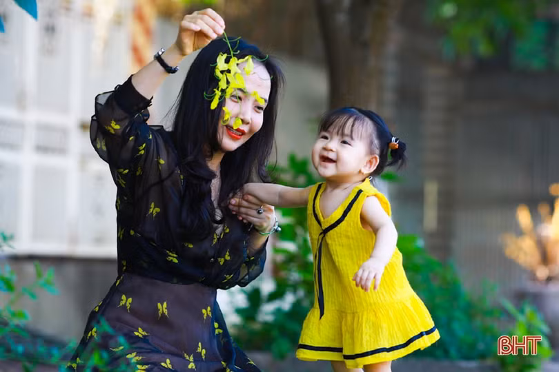 Muồng hoàng yến vàng rực khắp phố phường Hà Tĩnh