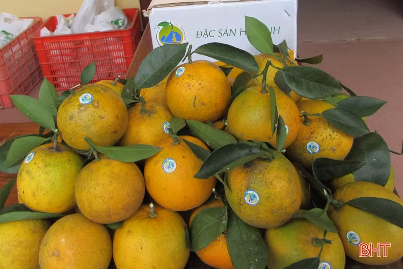 Quyết tâm cao, hành động quyết liệt để xây dựng Can Lộc thành huyện NTM nâng cao