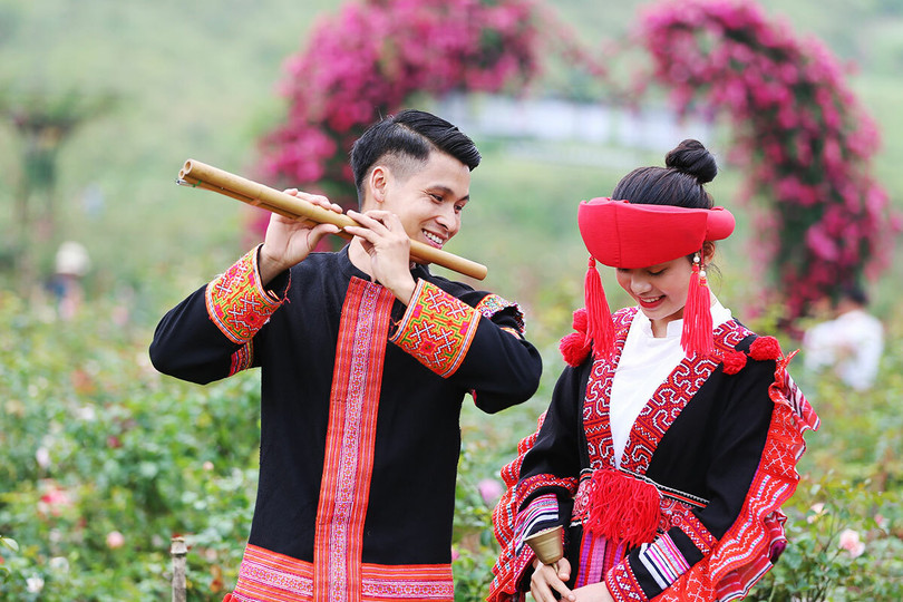 Thung lũng hoa hồng lớn nhất Việt Nam