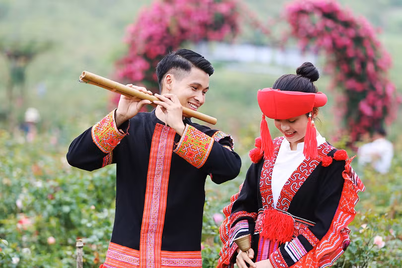 Thung lũng hoa hồng lớn nhất Việt Nam