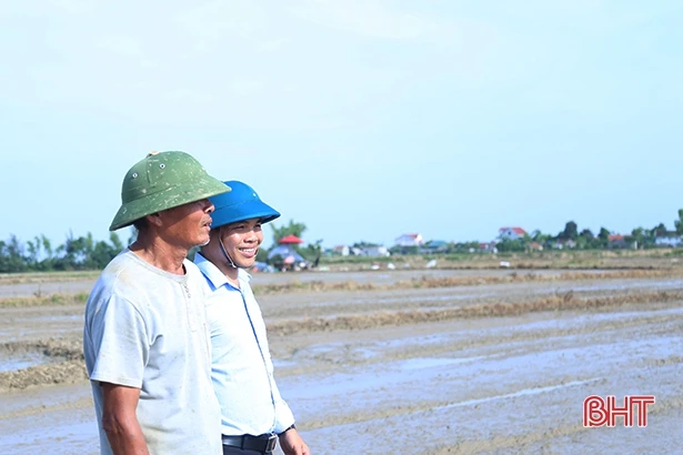 Lão nông Hà Tĩnh “mê” ruộng, thu hoạch 45 tấn lúa/vụ