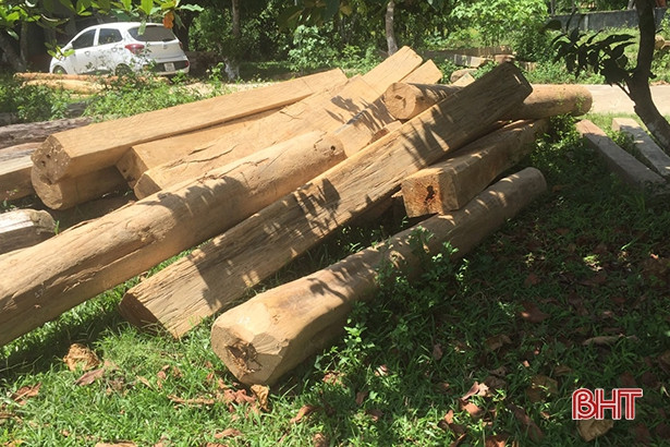 Phát hiện nhiều thanh gỗ xẻ, gỗ tròn tập kết trái quy định trên địa bàn xã Hương Lâm