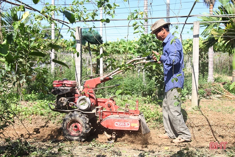Người thương binh thu nhập hàng trăm triệu đồng nhờ xóa bỏ vườn tạp