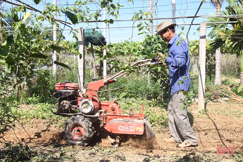 Người thương binh thu nhập hàng trăm triệu đồng nhờ xóa bỏ vườn tạp