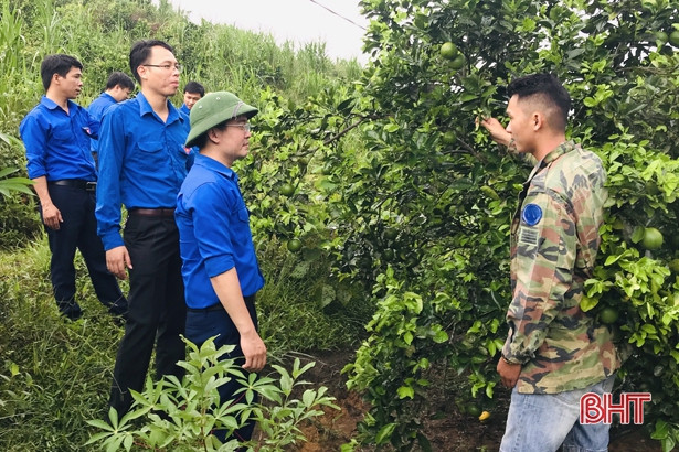 Tập huấn OCOP và ra mắt mô hình kinh tế thanh niên ở các huyện miền núi Hà Tĩnh