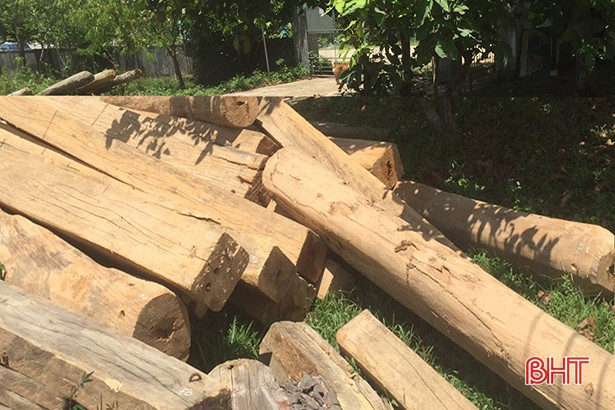 Phát hiện nhiều thanh gỗ xẻ, gỗ tròn tập kết trái quy định trên địa bàn xã Hương Lâm