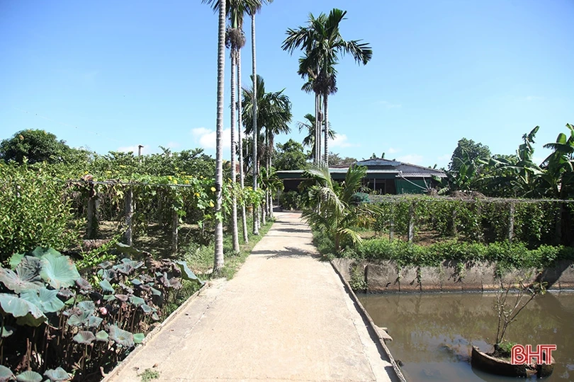 Người thương binh thu nhập hàng trăm triệu đồng nhờ xóa bỏ vườn tạp