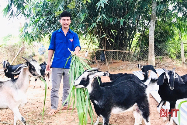 Tập huấn OCOP và ra mắt mô hình kinh tế thanh niên ở các huyện miền núi Hà Tĩnh